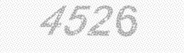 Visual security code — type the characters shown in the image